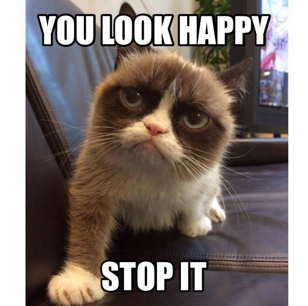 21 Grumpy Cat memes to instantly make you grumpy however happy you are!